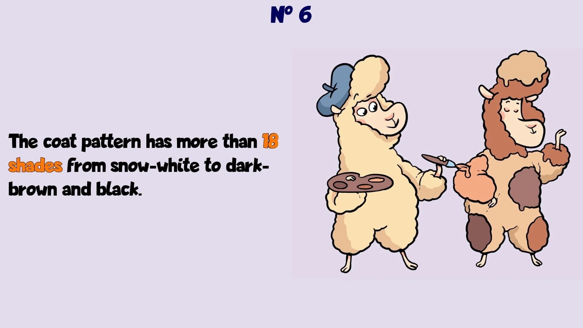 Alpaca Wonders Why screenshot 2