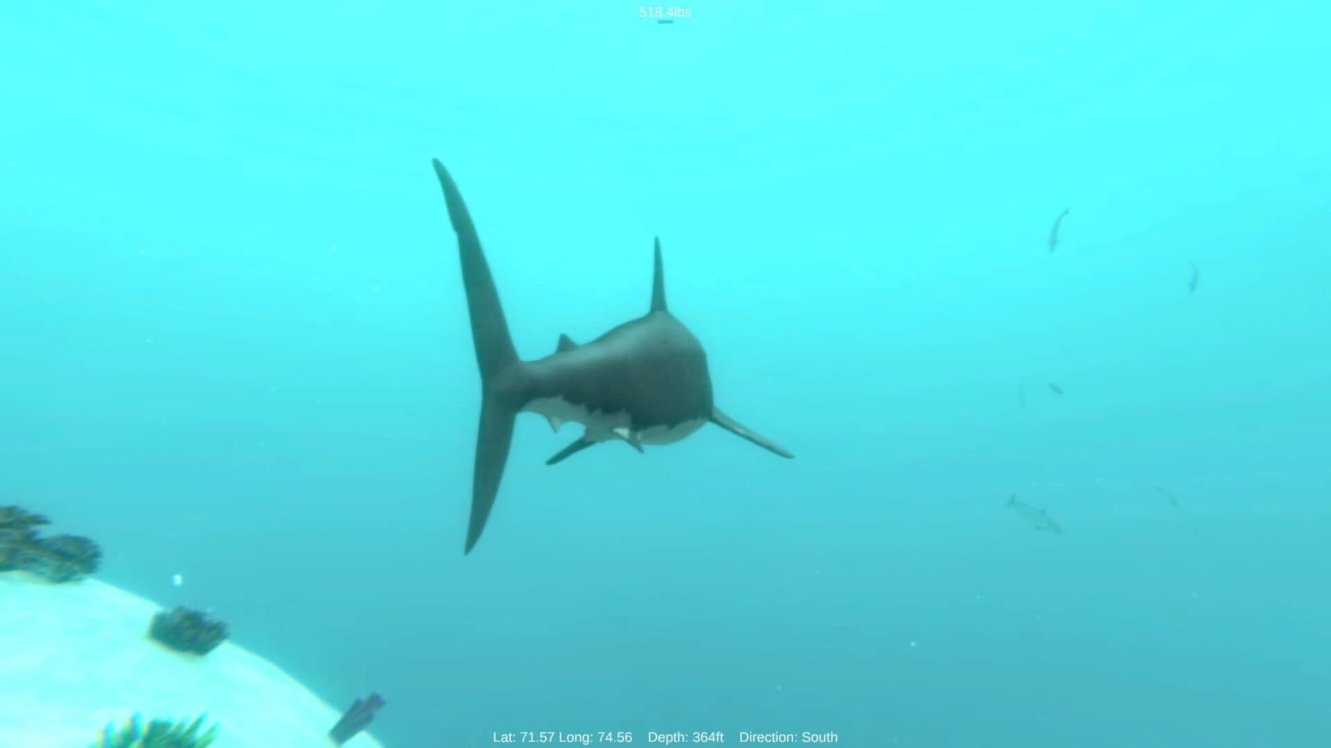 Alpha Shark screenshot 2