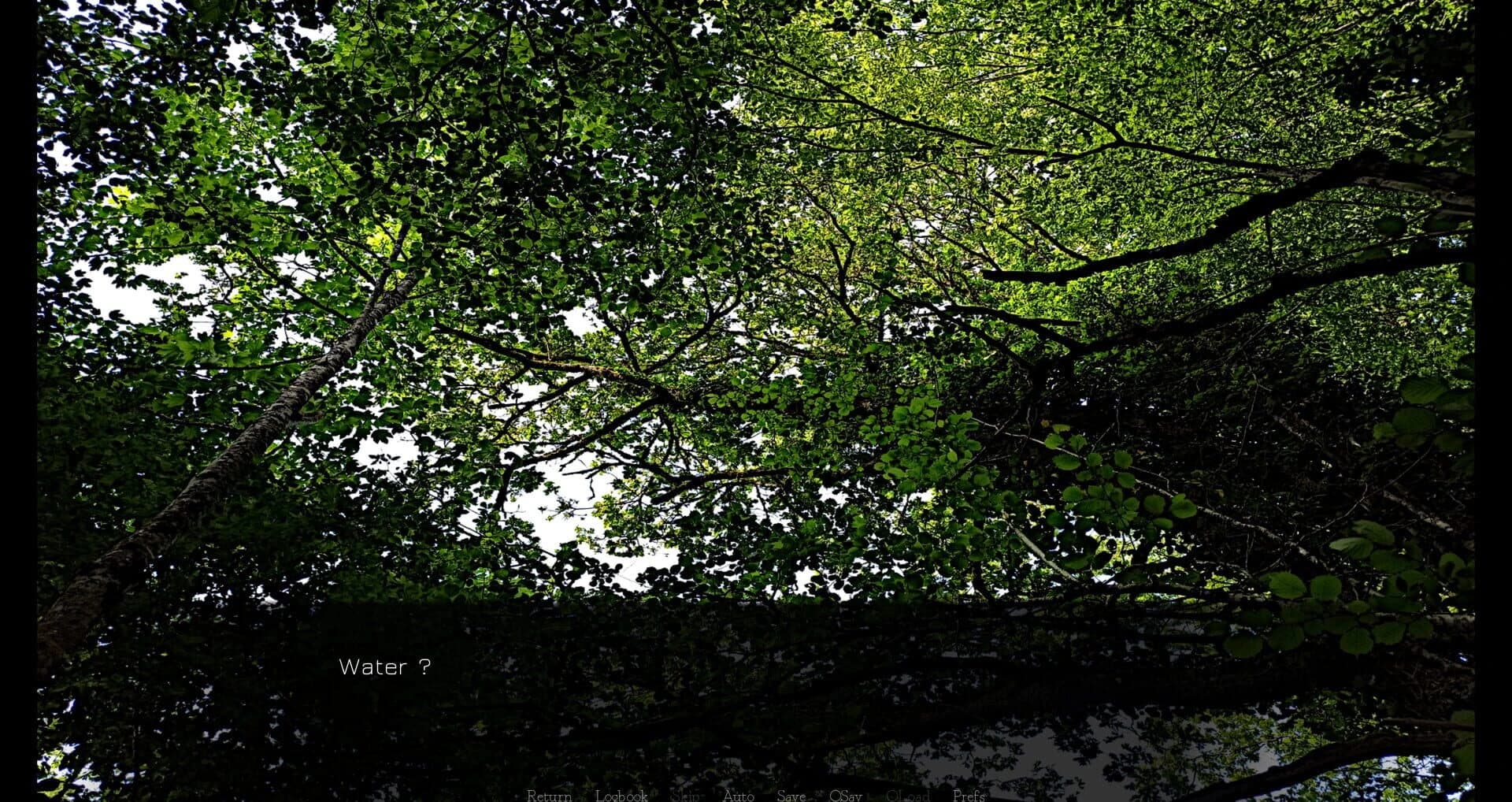 Ämäränth: The Last Day of My Adolescence screenshot 5