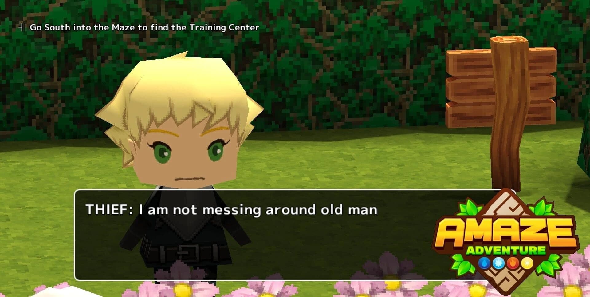 Amaze Adventure screenshot 1