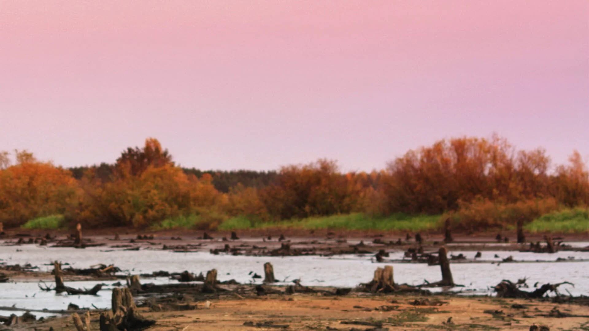 Among the Dead screenshot 5