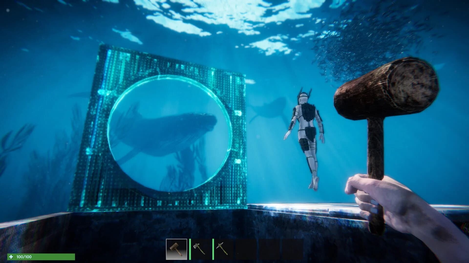 Anchor screenshot 2