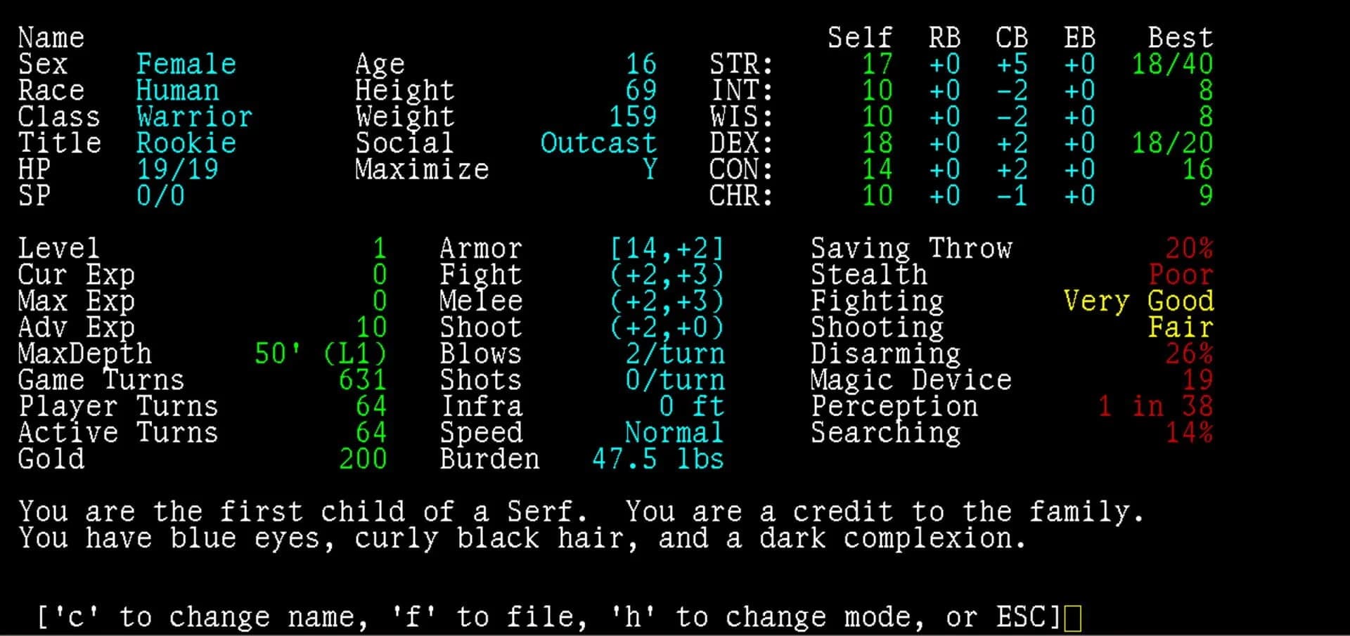 Angband screenshot 1