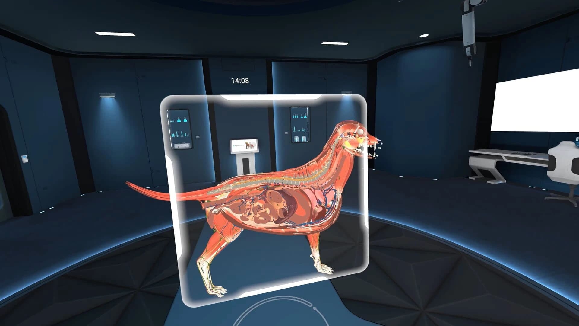 Animal Anatomy VR screenshot 3