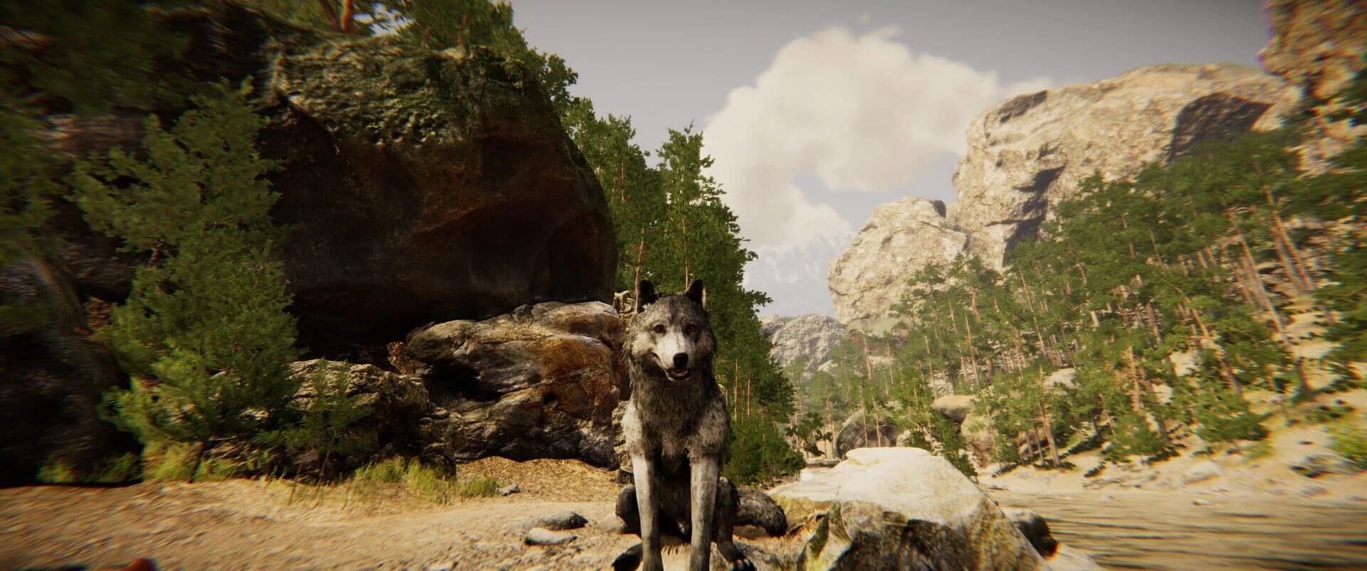 Animal Simulator screenshot 2
