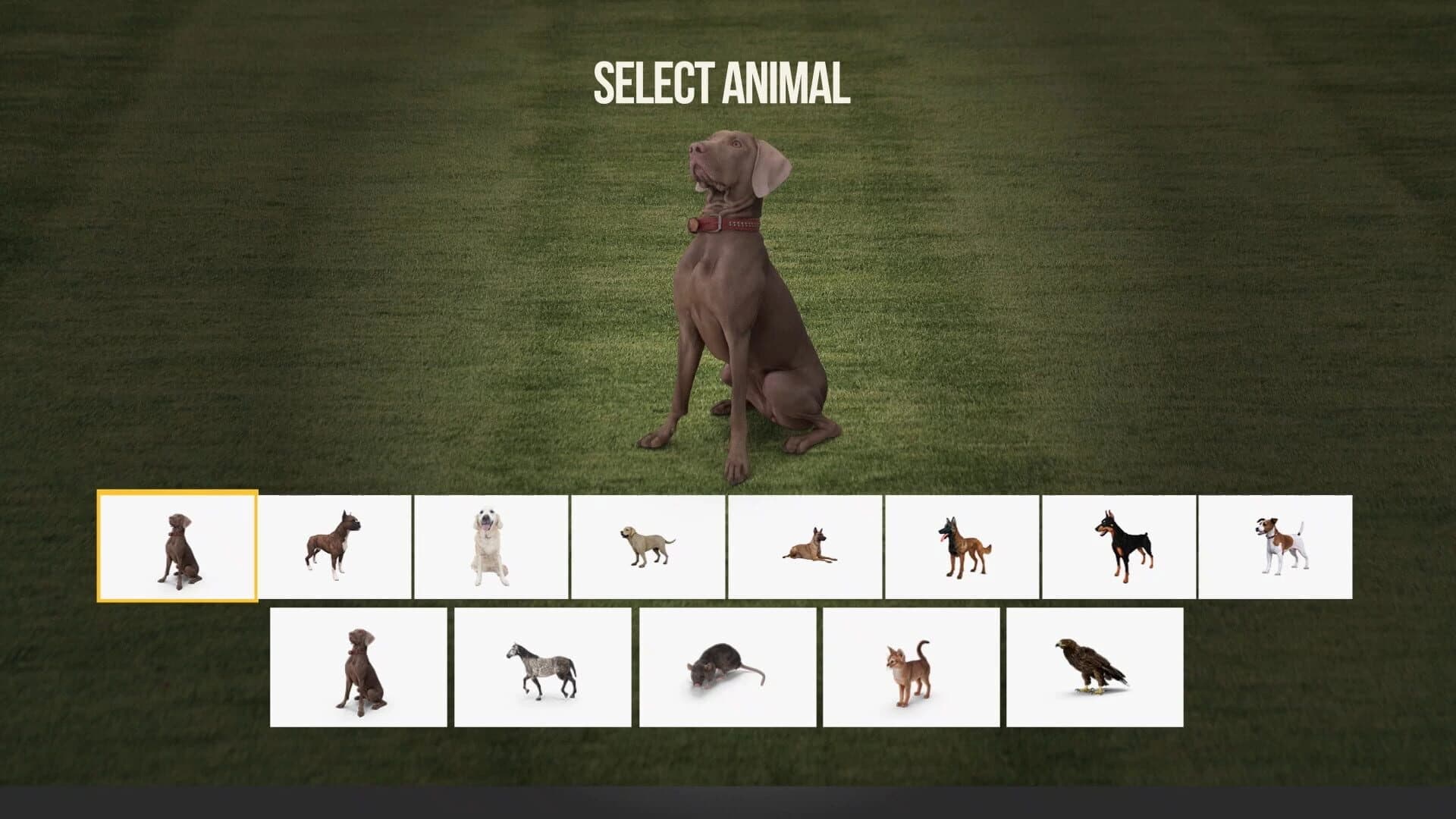 Animal Trainer screenshot 2