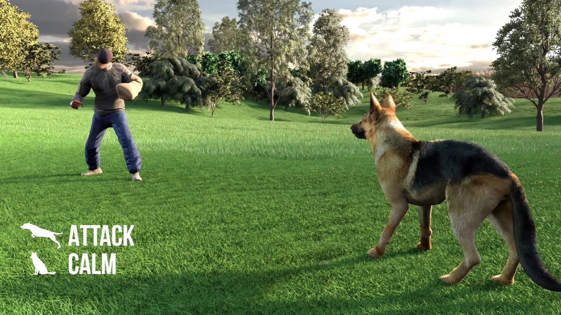 Animal Trainer screenshot 4