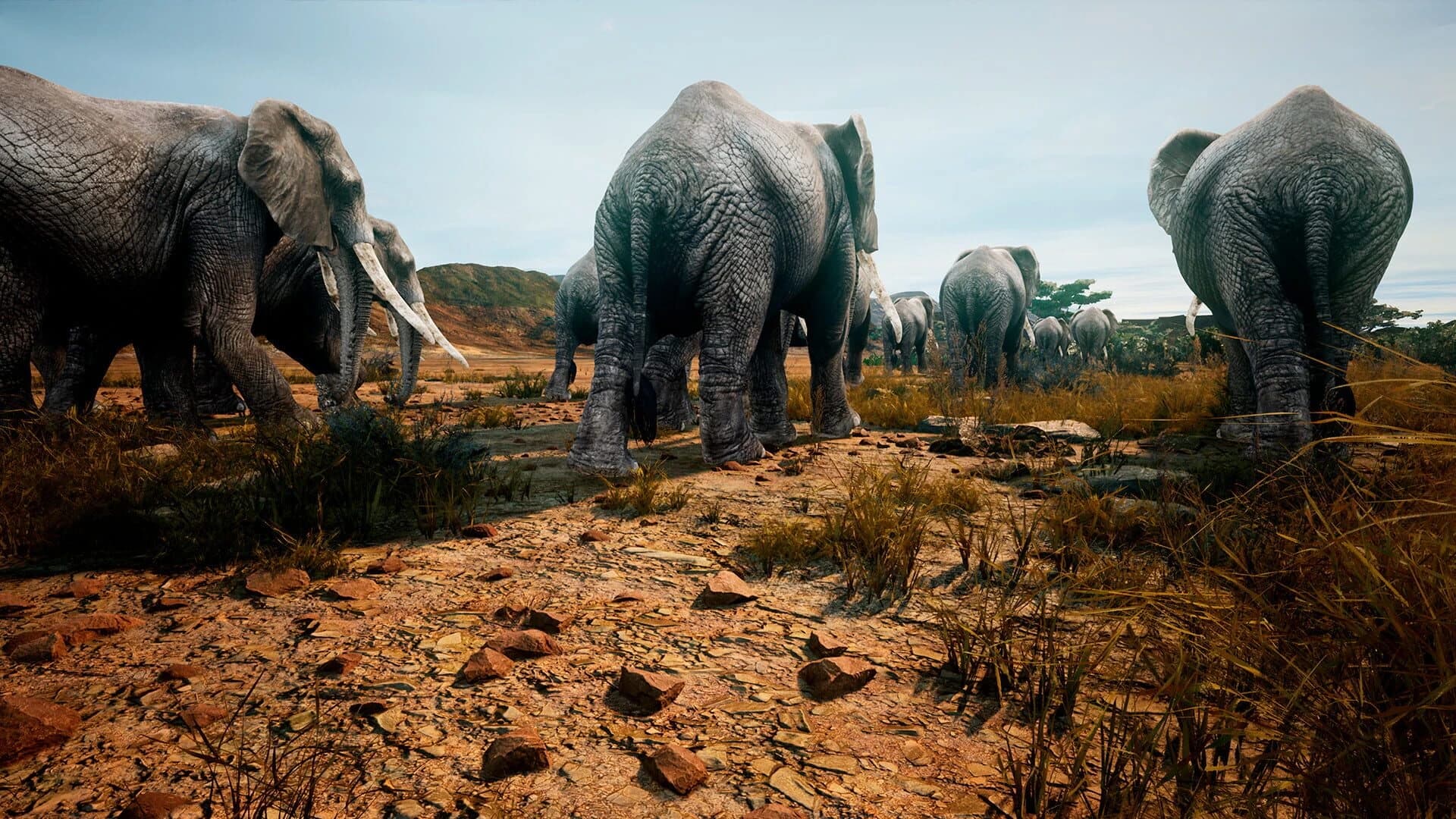 Animalia Survival screenshot 5