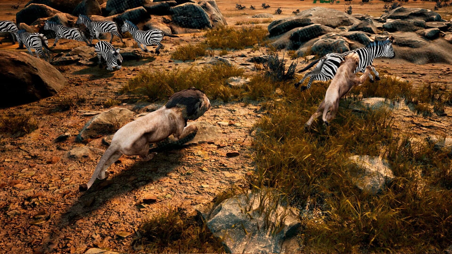 Animalia Survival screenshot 3