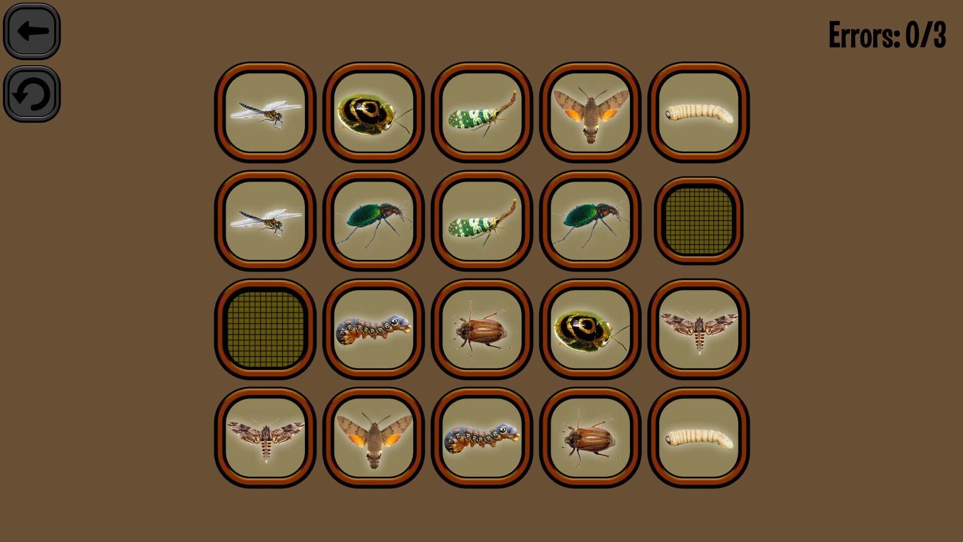 Animals Memory: Insect screenshot 4