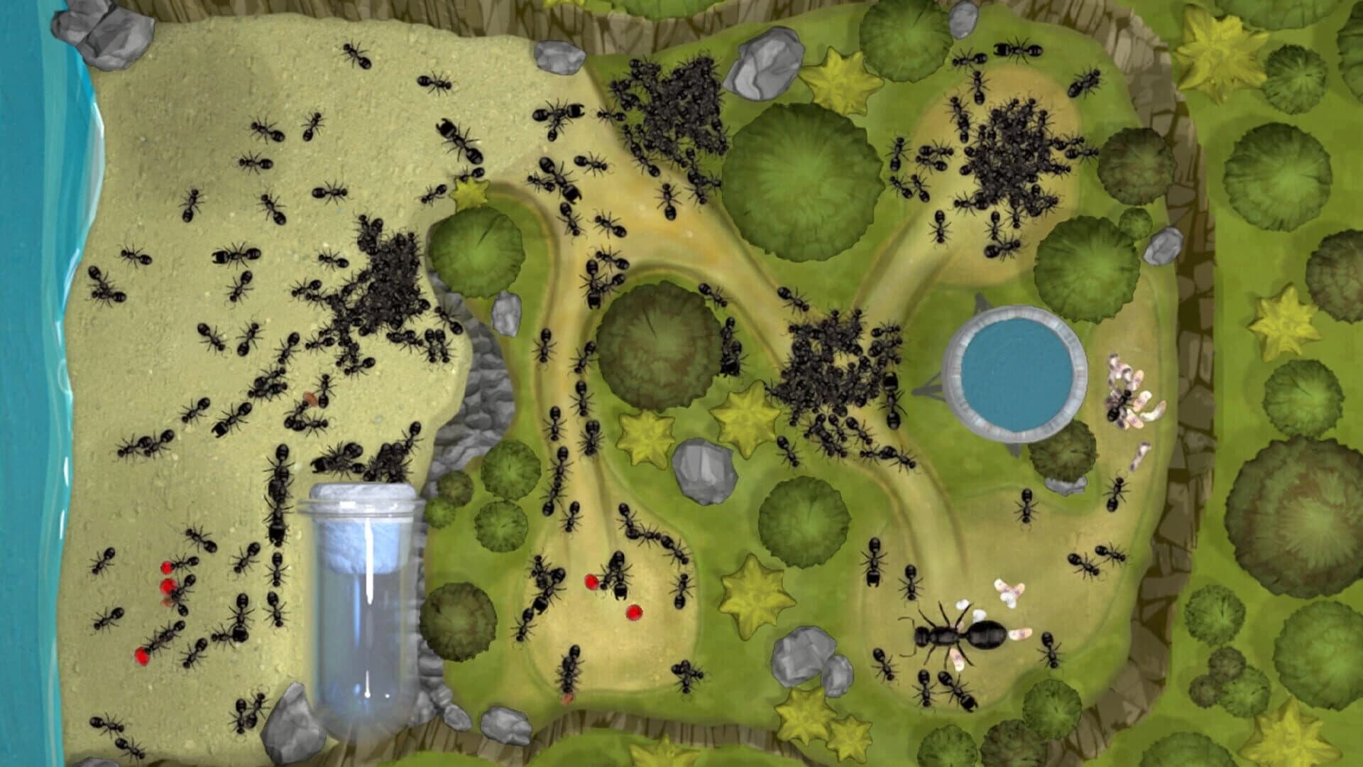 Ant Farm Simulator screenshot 2