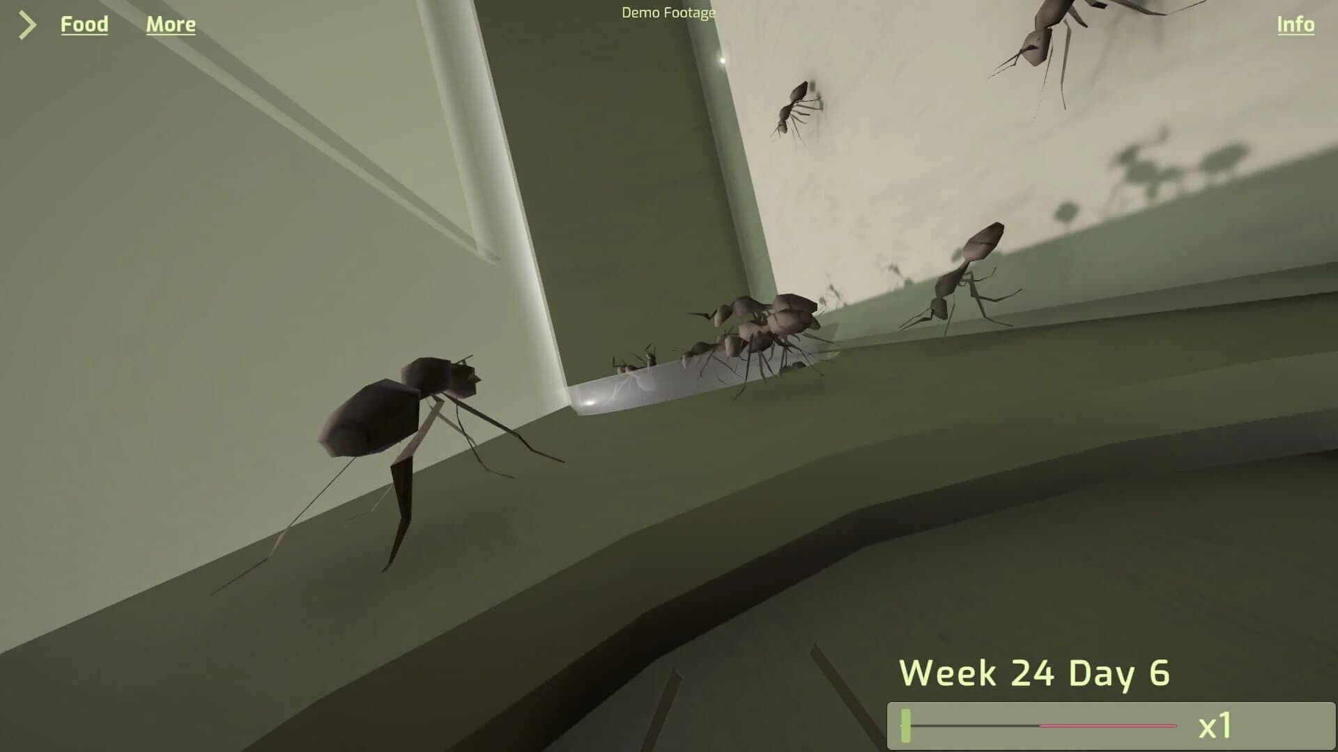 Ant Keeping Simulator screenshot 2