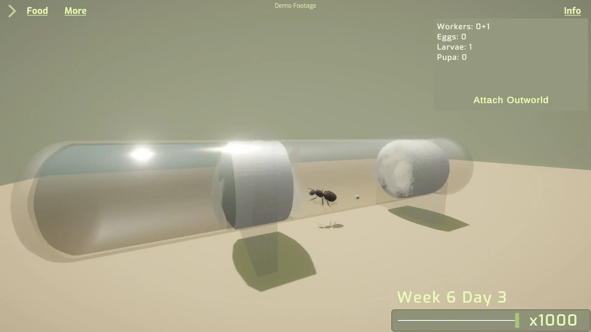 Ant Keeping Simulator screenshot 1