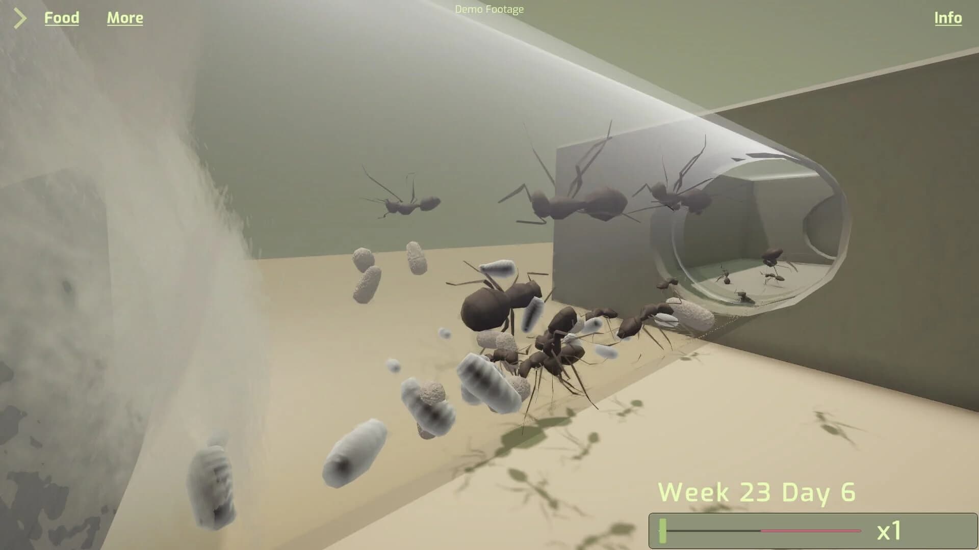 Ant Keeping Simulator screenshot 5