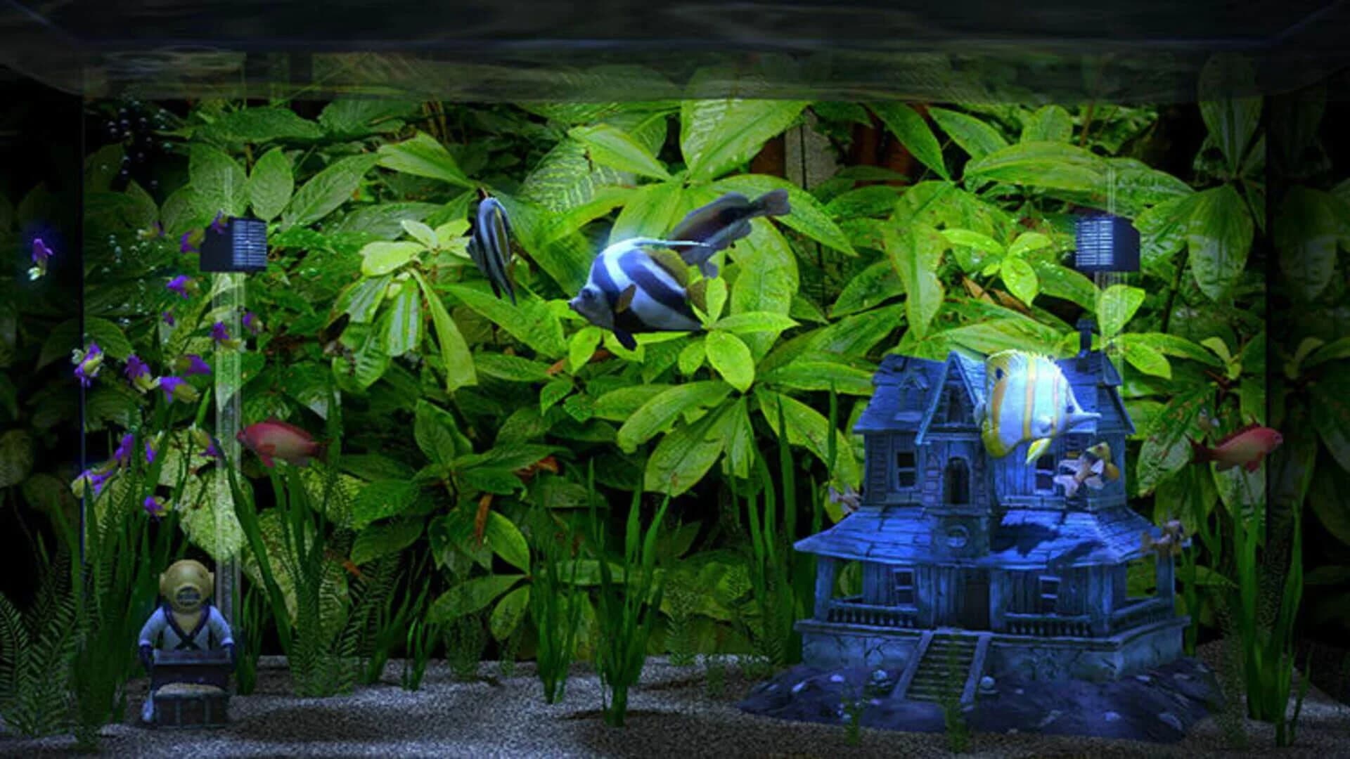 Aqua TV screenshot 3