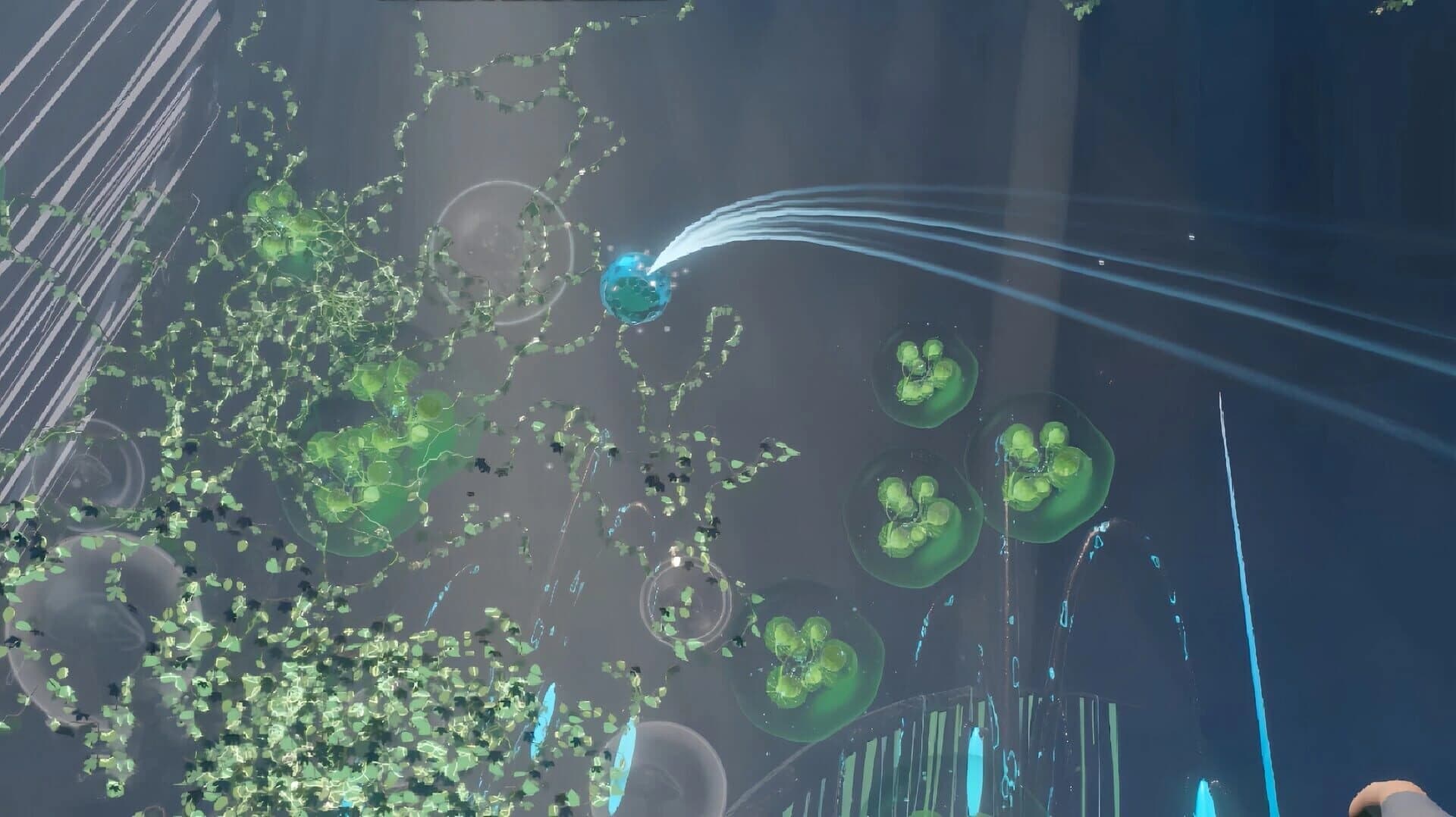 AquaRevive screenshot 2