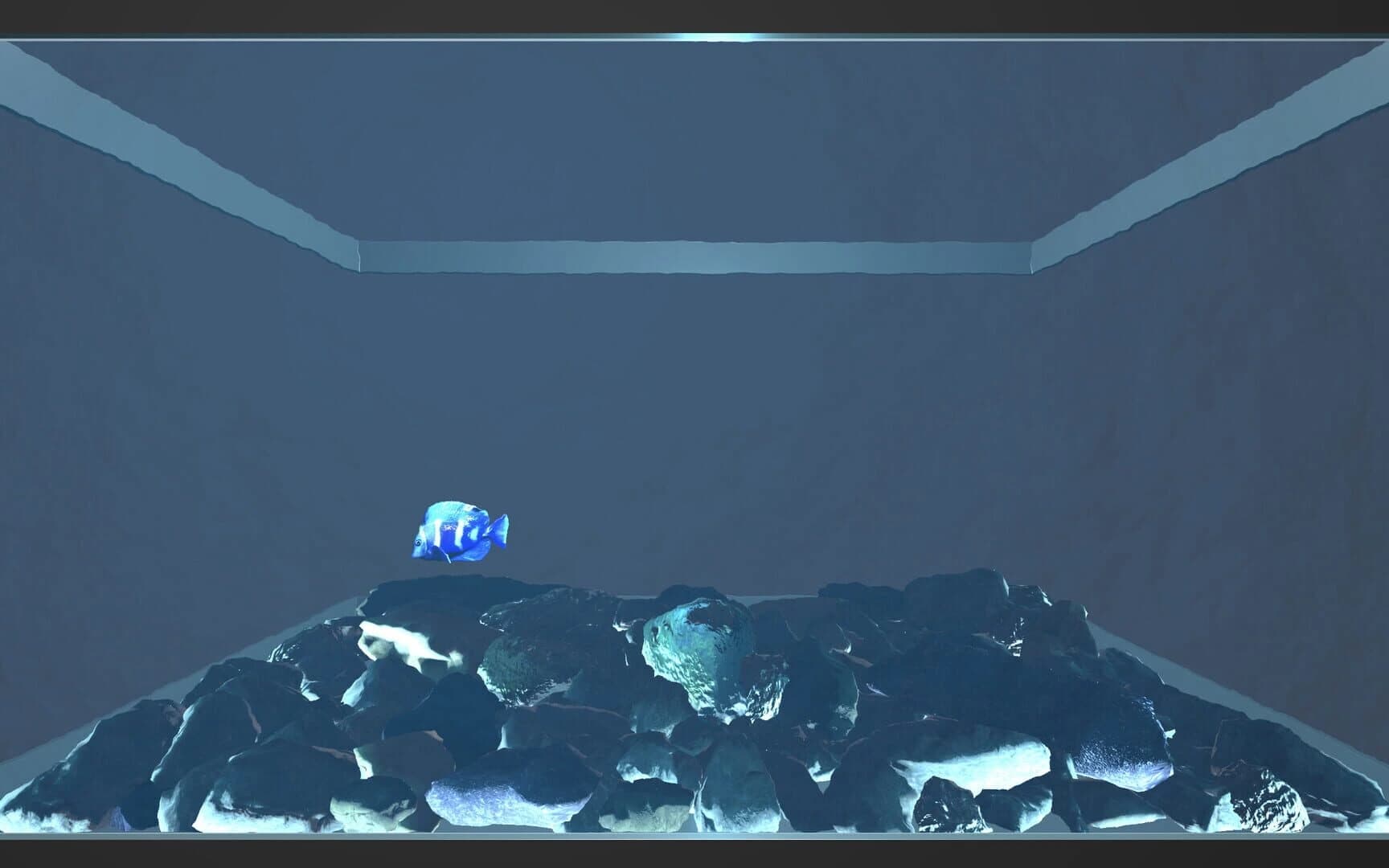 Aquario screenshot 2