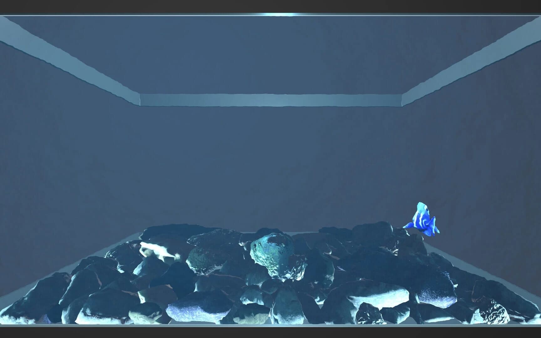 Aquario screenshot 3