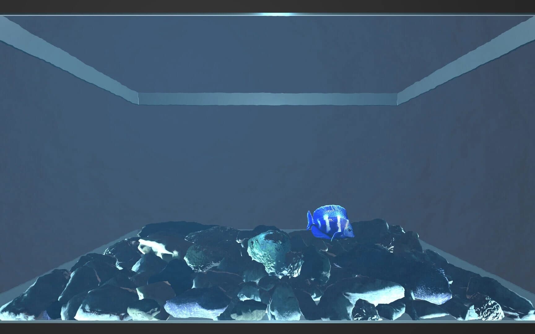 Aquario screenshot 5