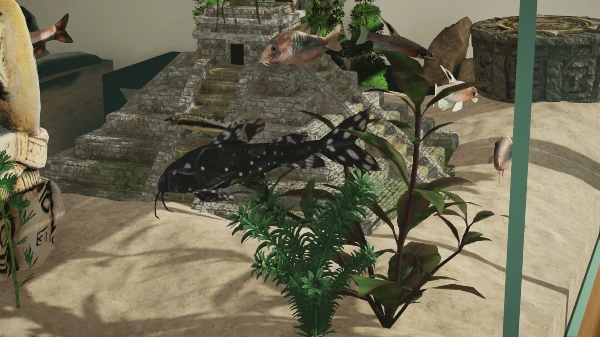 Aquarium Designer: Amazonia screenshot 2