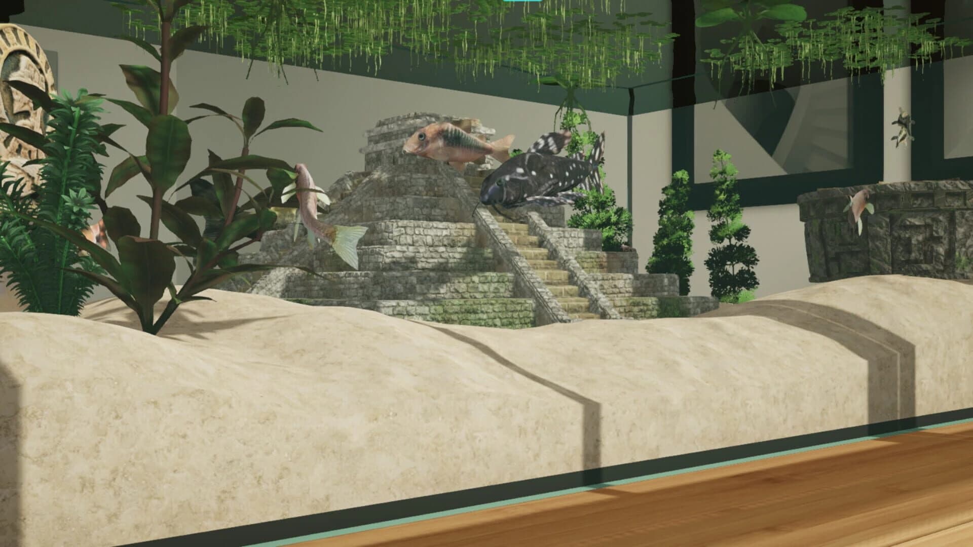 Aquarium Designer: Amazonia screenshot 3