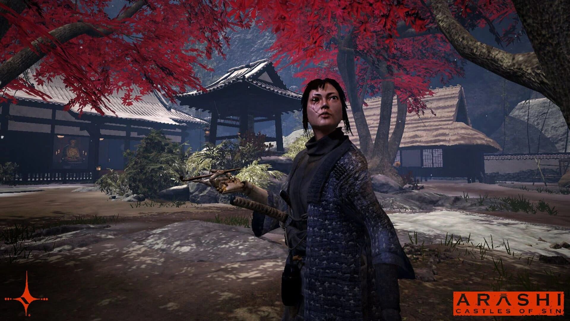 Arashi: Castles of Sin screenshot 2