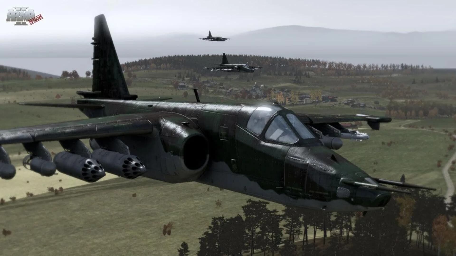 Arma 2 screenshot 5