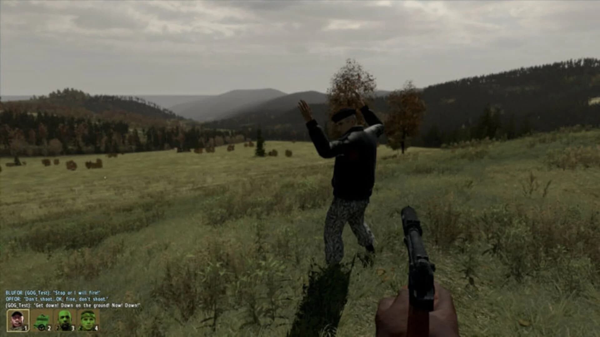 Arma 2: Combined Operations screenshot 5