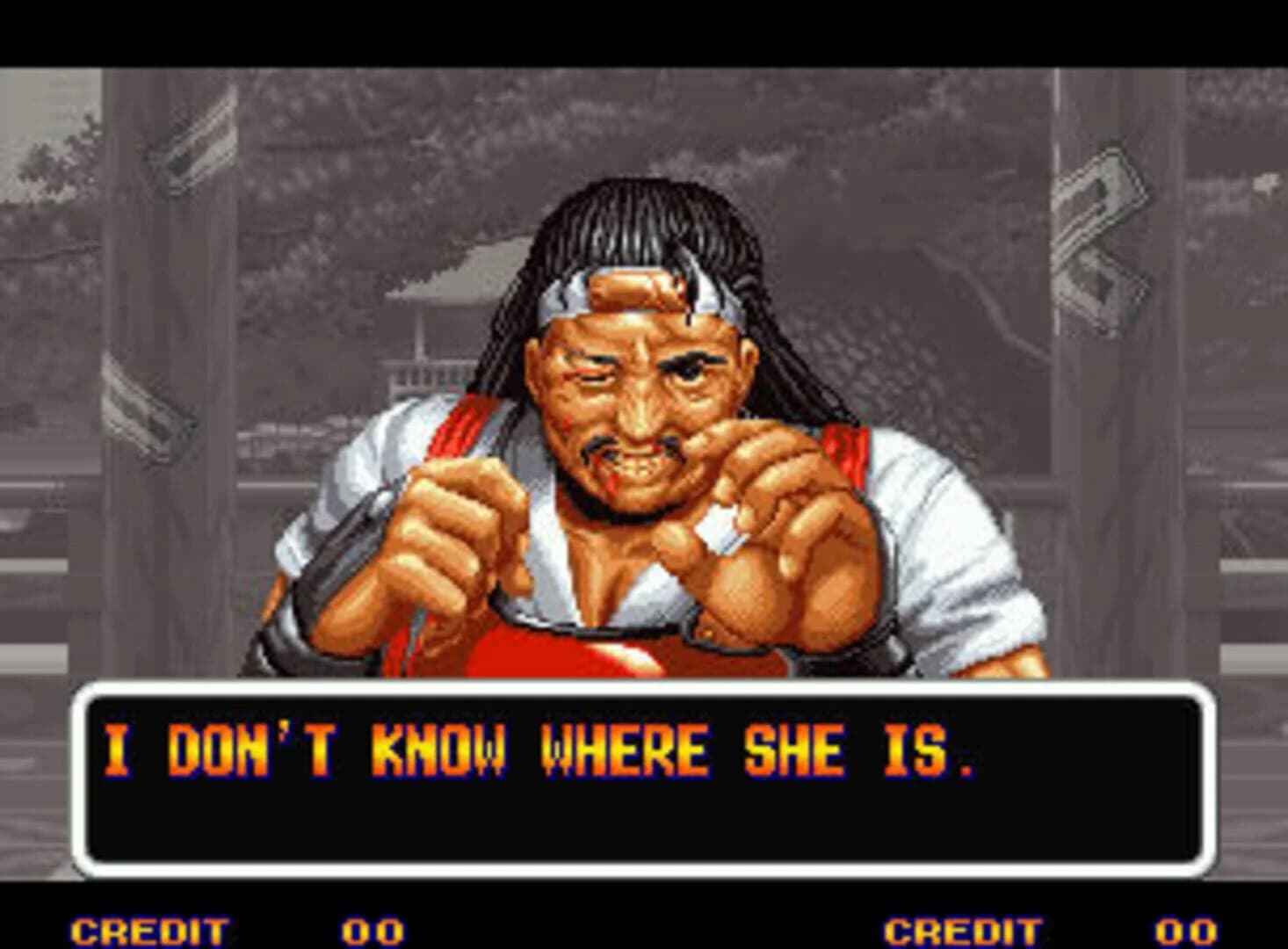 Art of Fighting screenshot 3