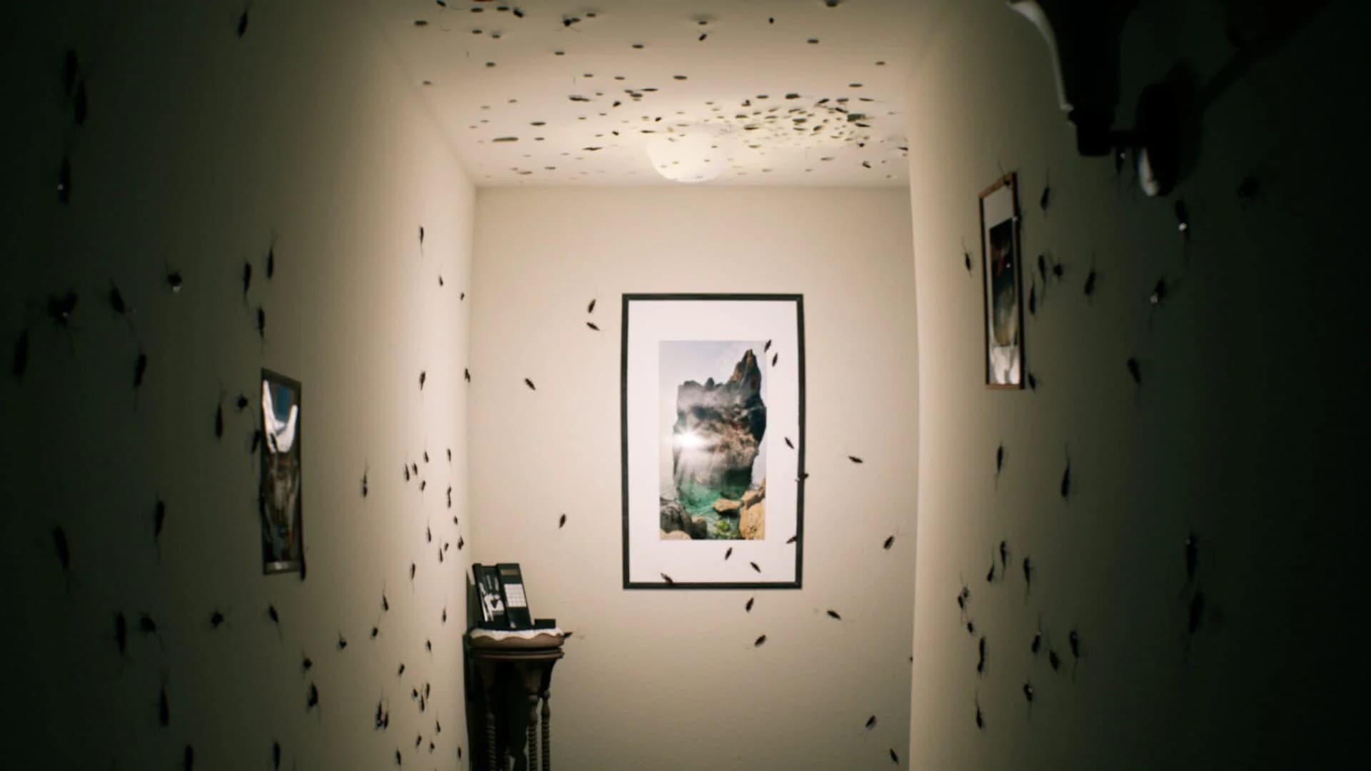 August Night screenshot 4