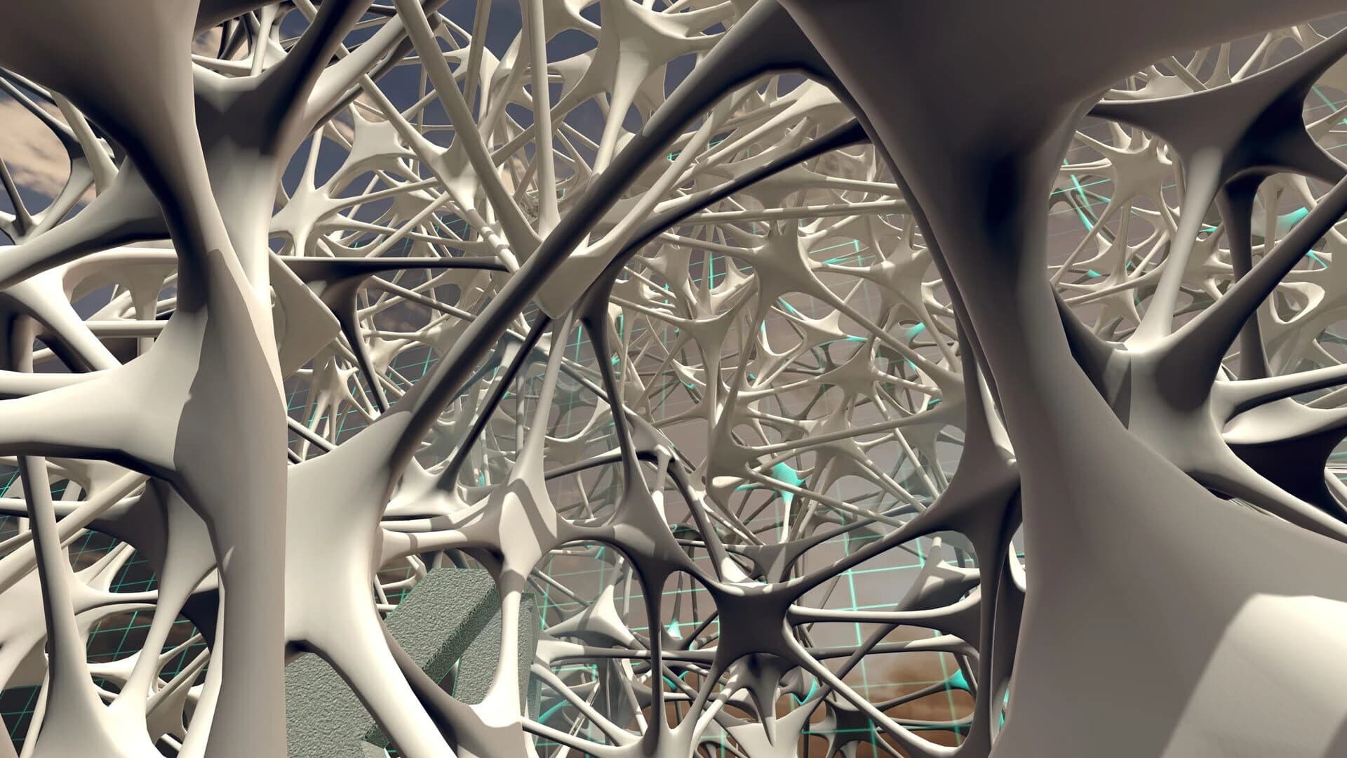 B. Braun Aesculap Spine VR screenshot 1