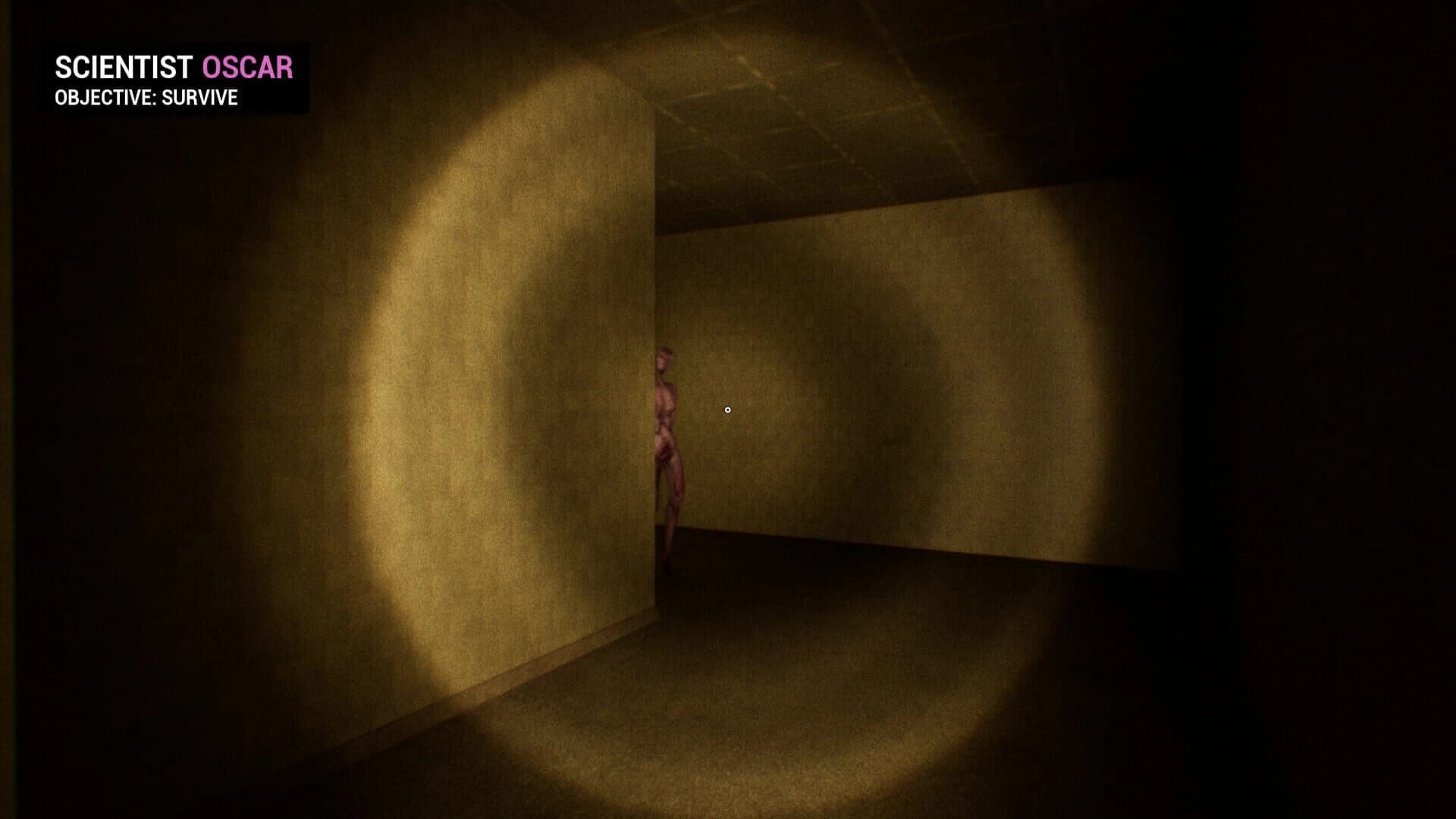 Backrooms: Apprehension screenshot 2