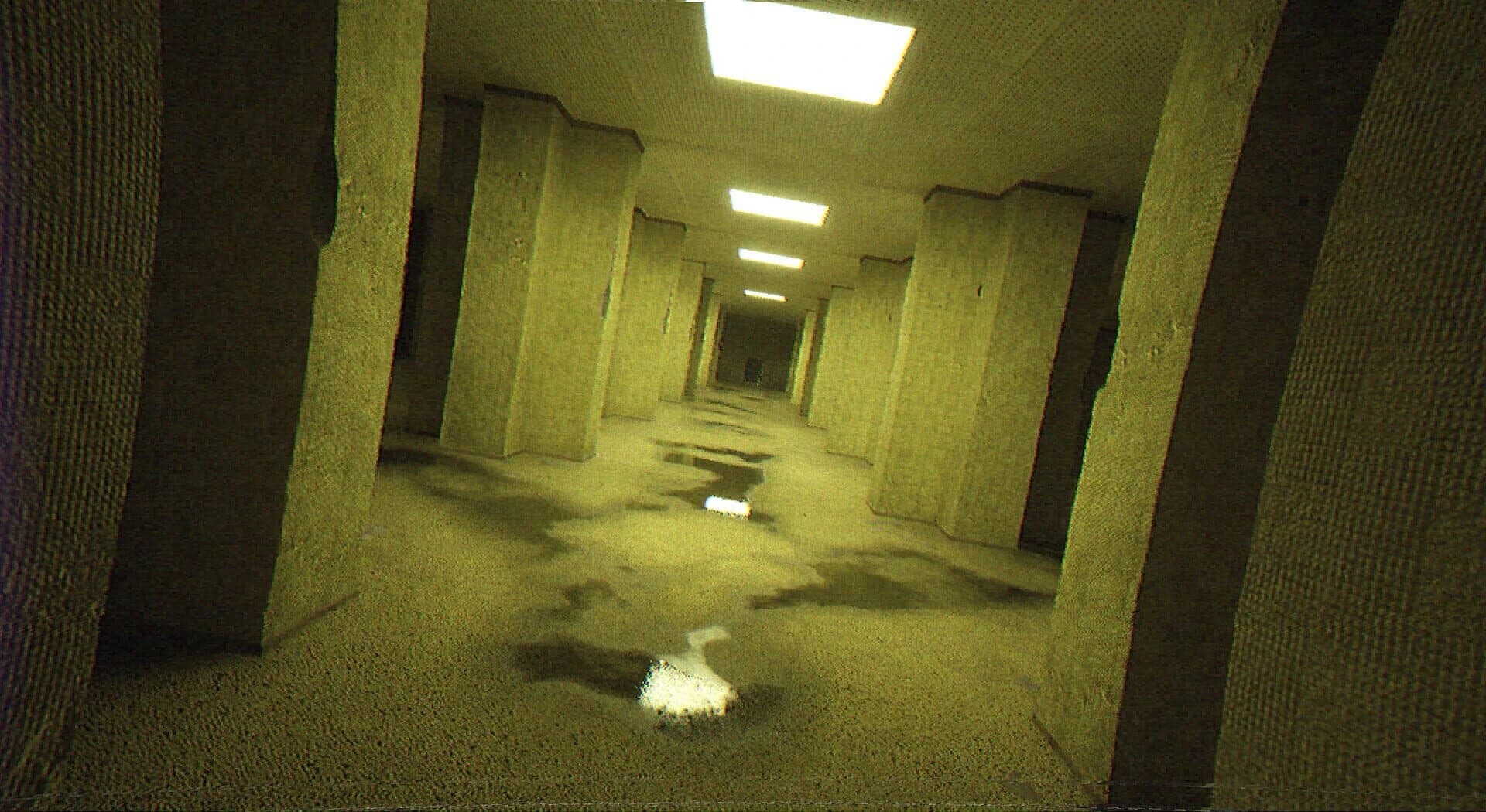 Backrooms Rec. screenshot 3