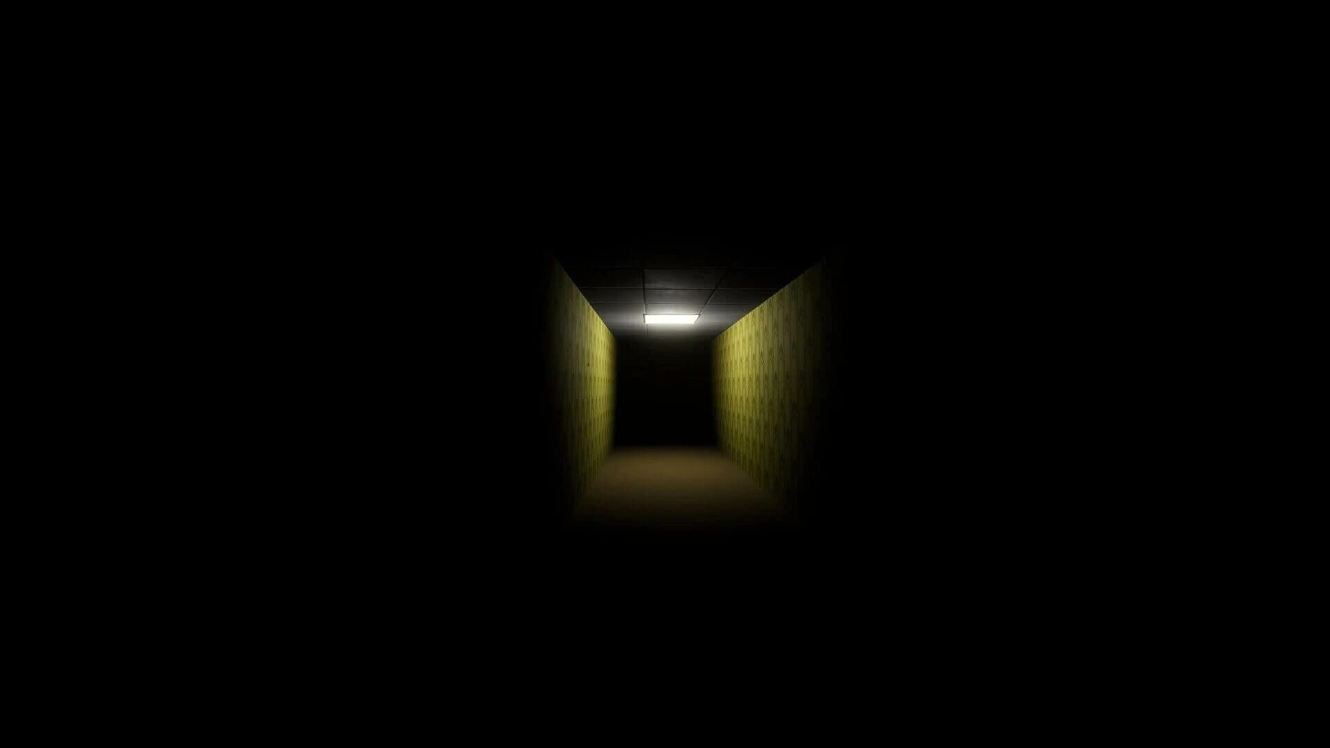 Backrooms: The Hunt screenshot 2