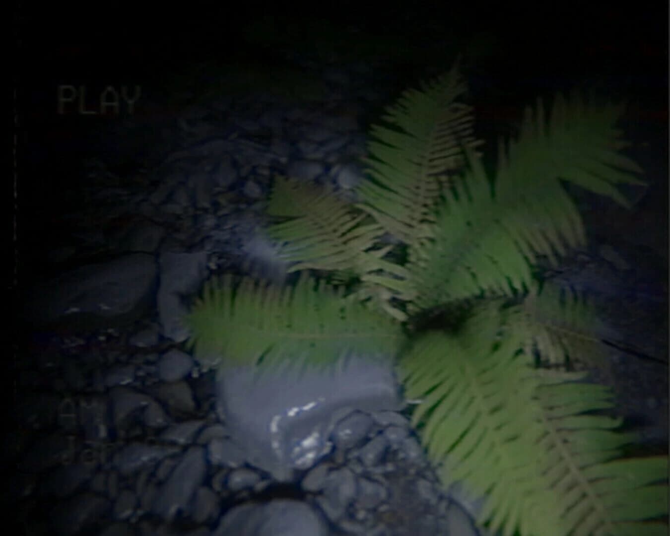 Backrooms VHS screenshot 3