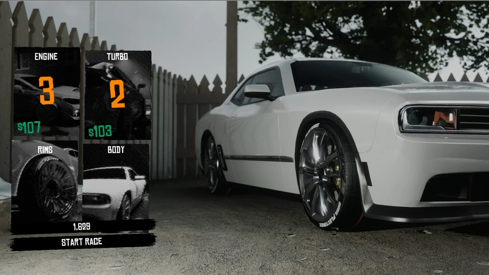 Backyard Boxing screenshot 1