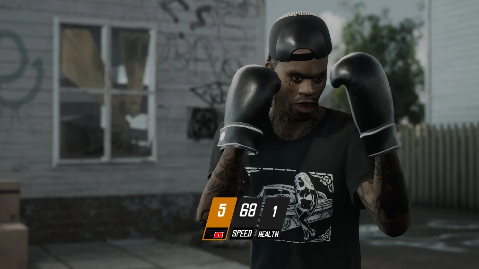 Backyard Boxing screenshot 2