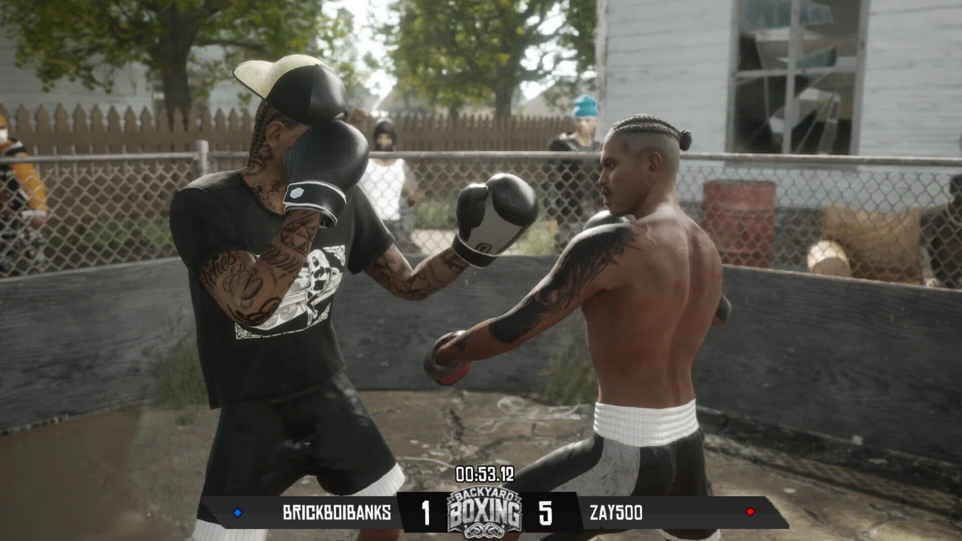 Backyard Boxing screenshot 3