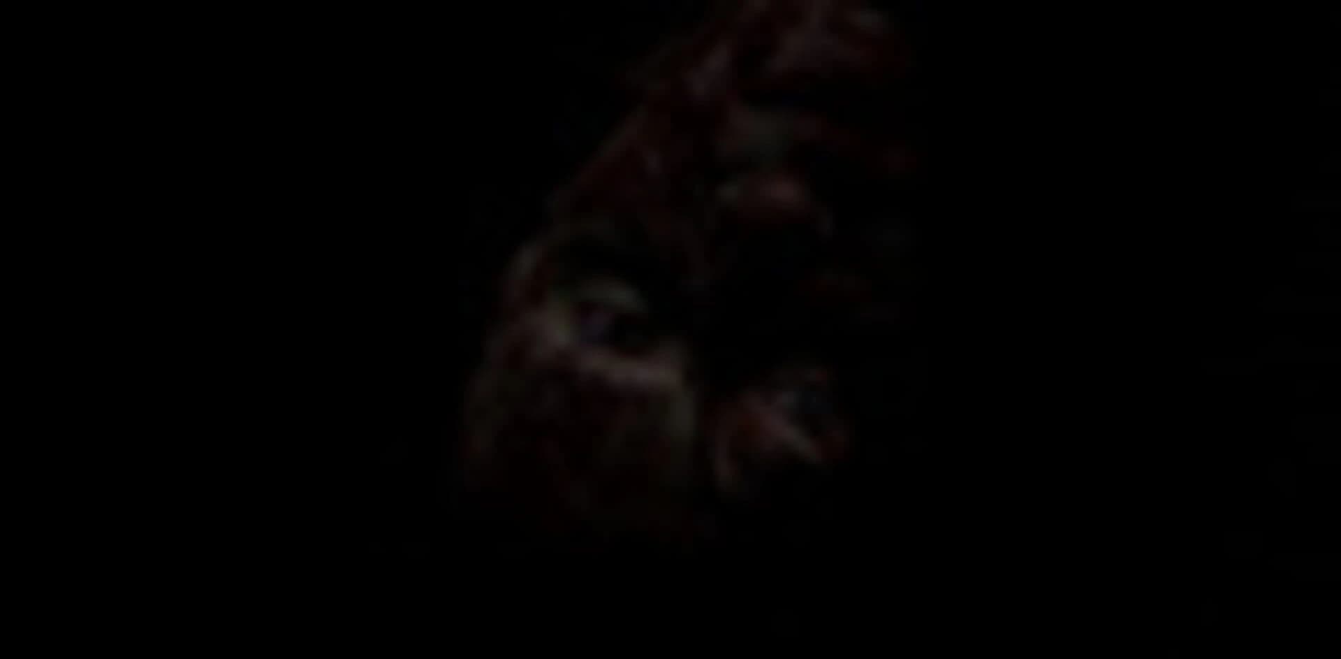 Basement screenshot 5