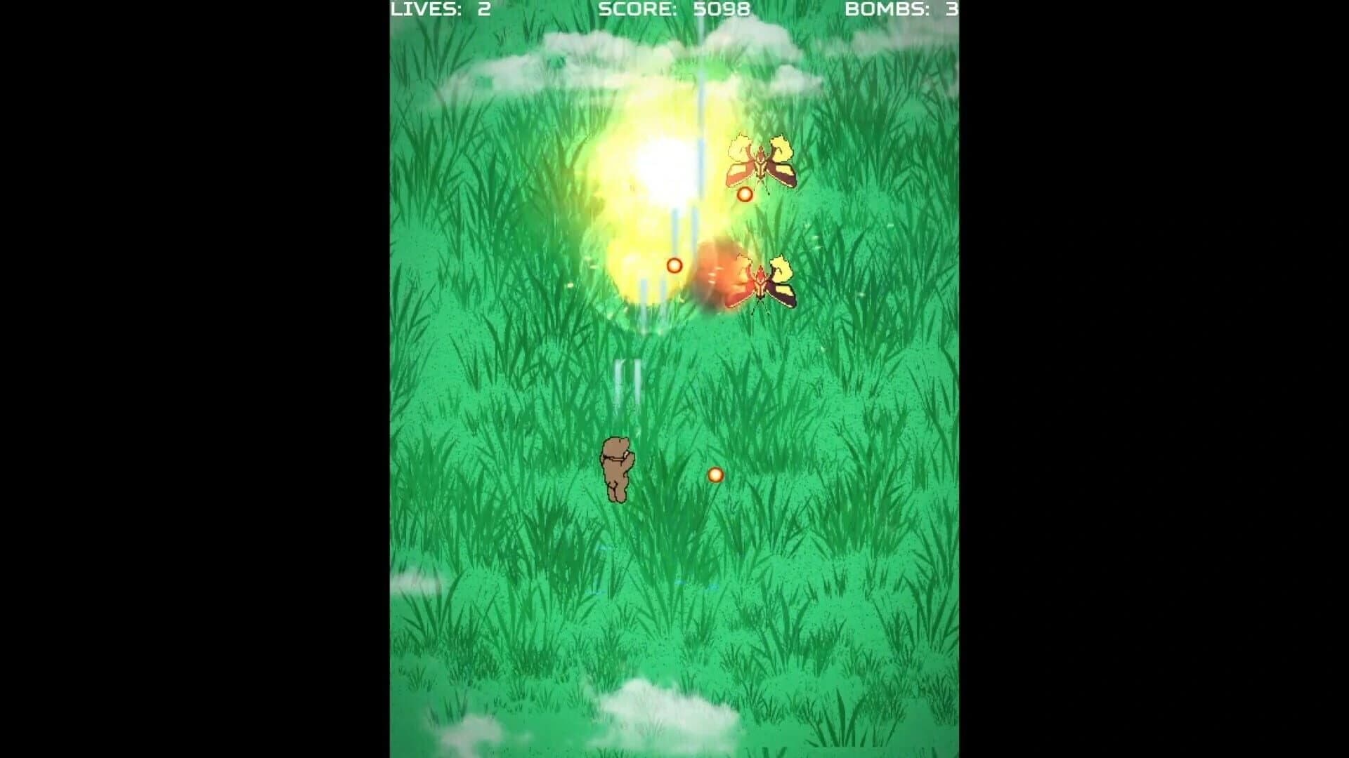 Bear Shooter screenshot 5