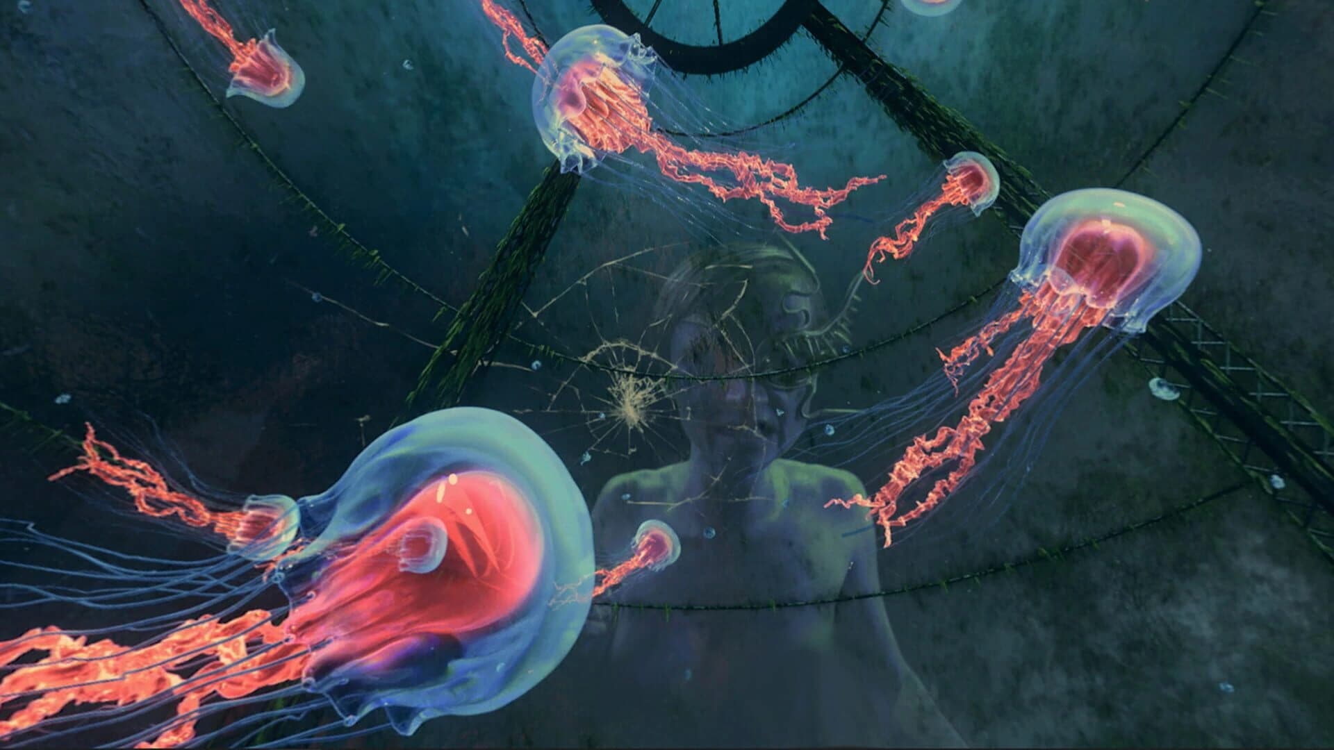 BeefeaterXO screenshot 2