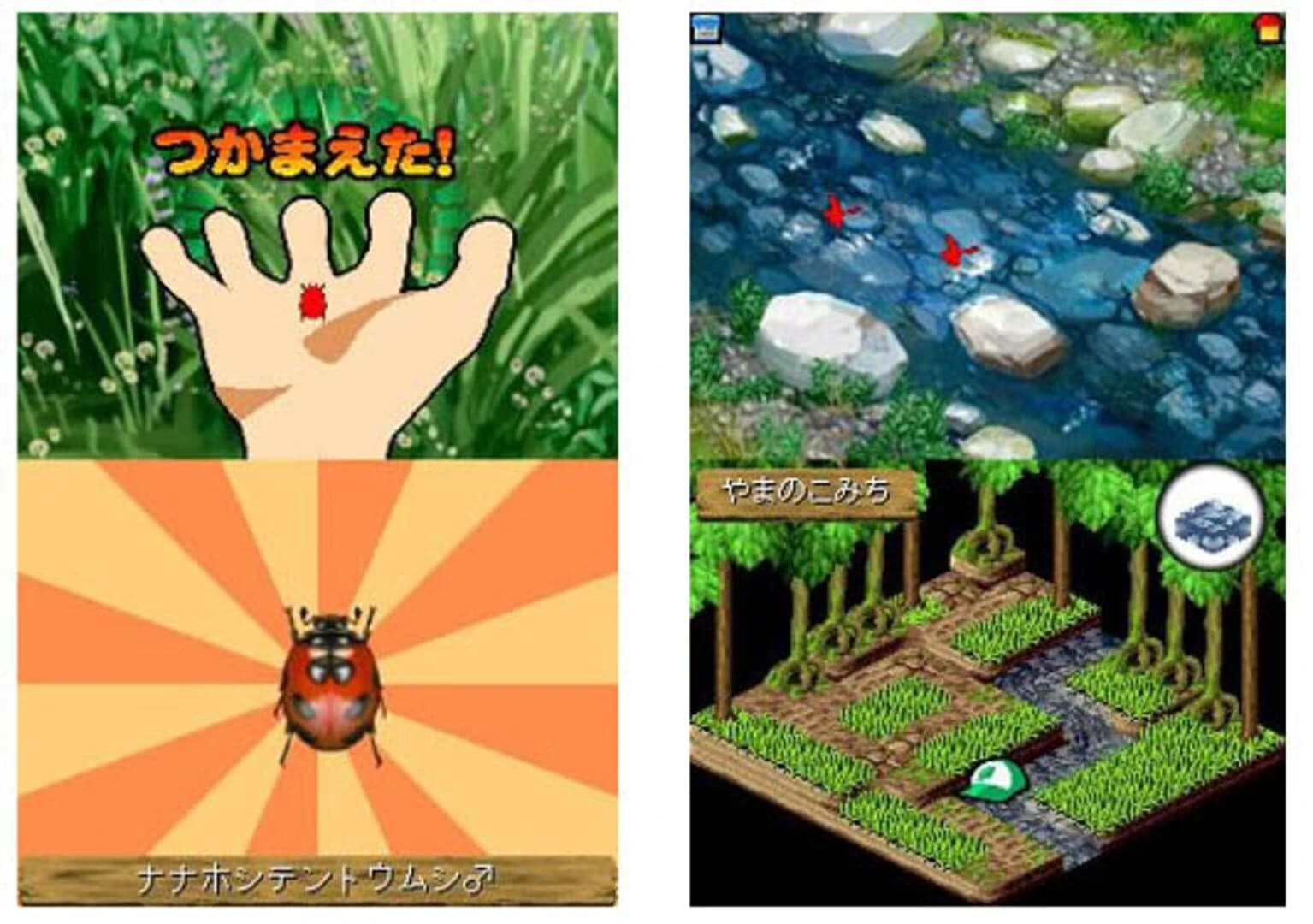 Beetle King screenshot 1