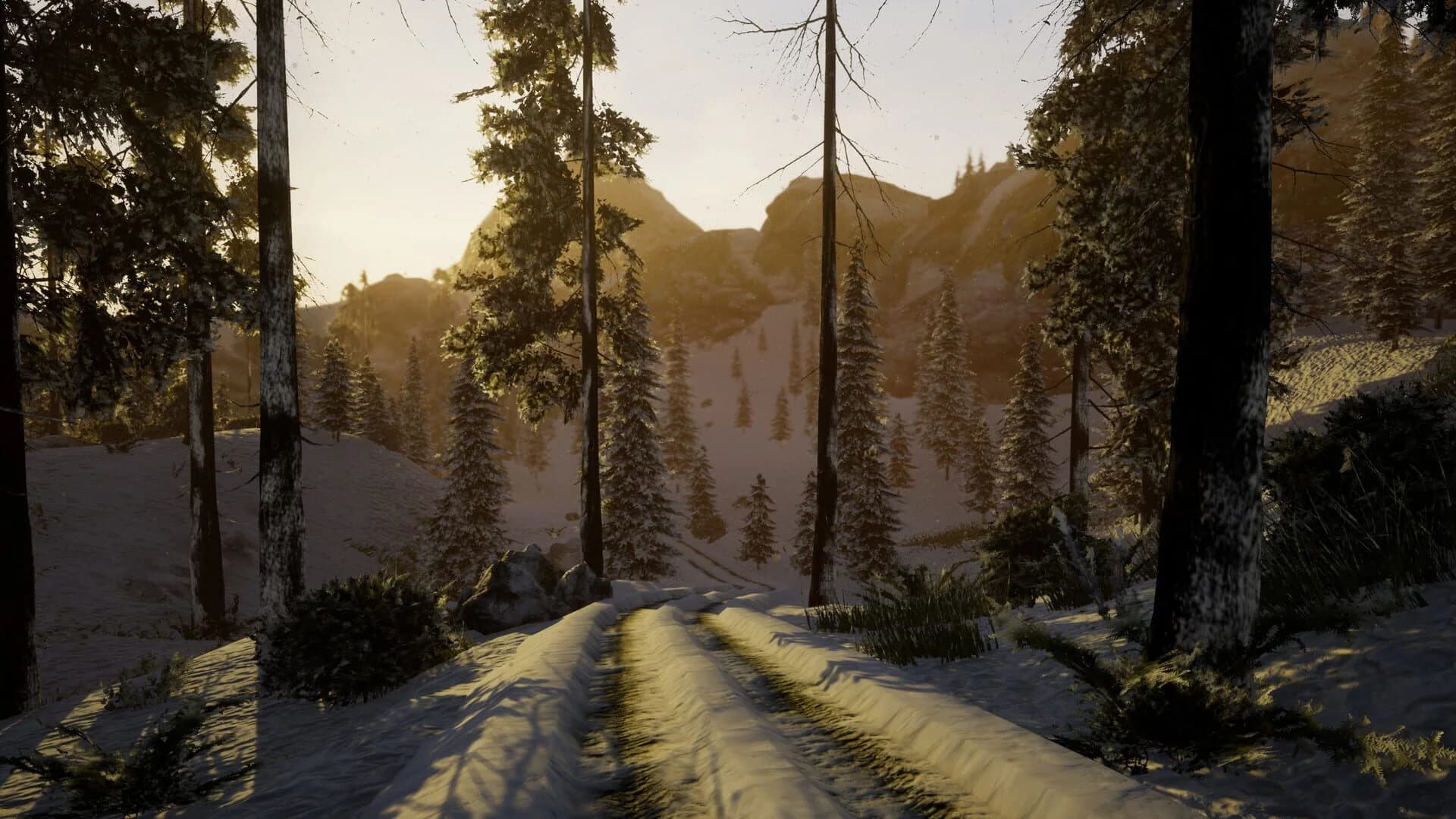Before Nightfall screenshot 5