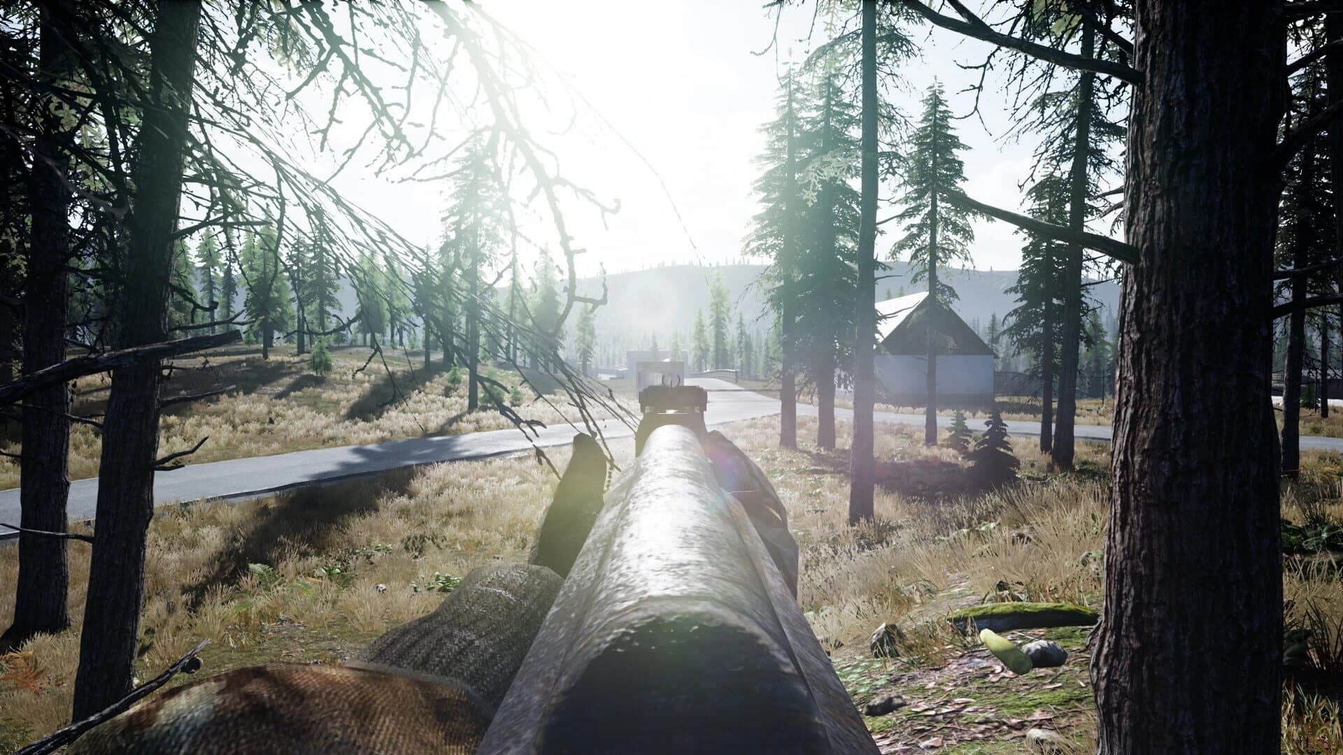 Beyond Enemy Lines: Remastered Edition screenshot 5