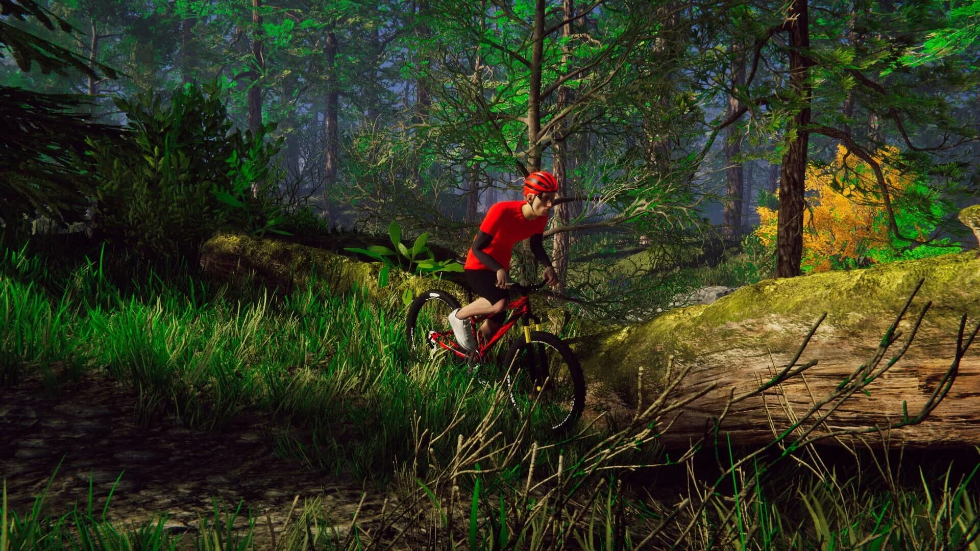 Bicycle Rider Simulator screenshot 1