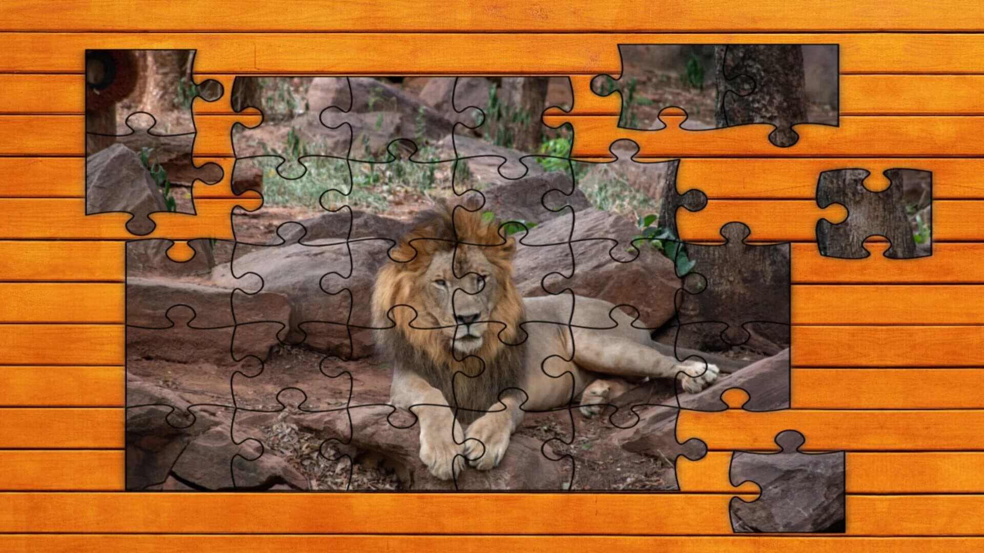 Big Cat Jigsaw Quest screenshot 4