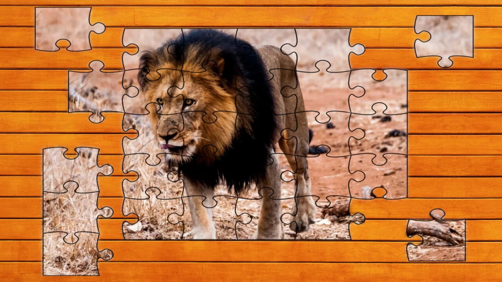 Big Cat Jigsaw Quest screenshot 3