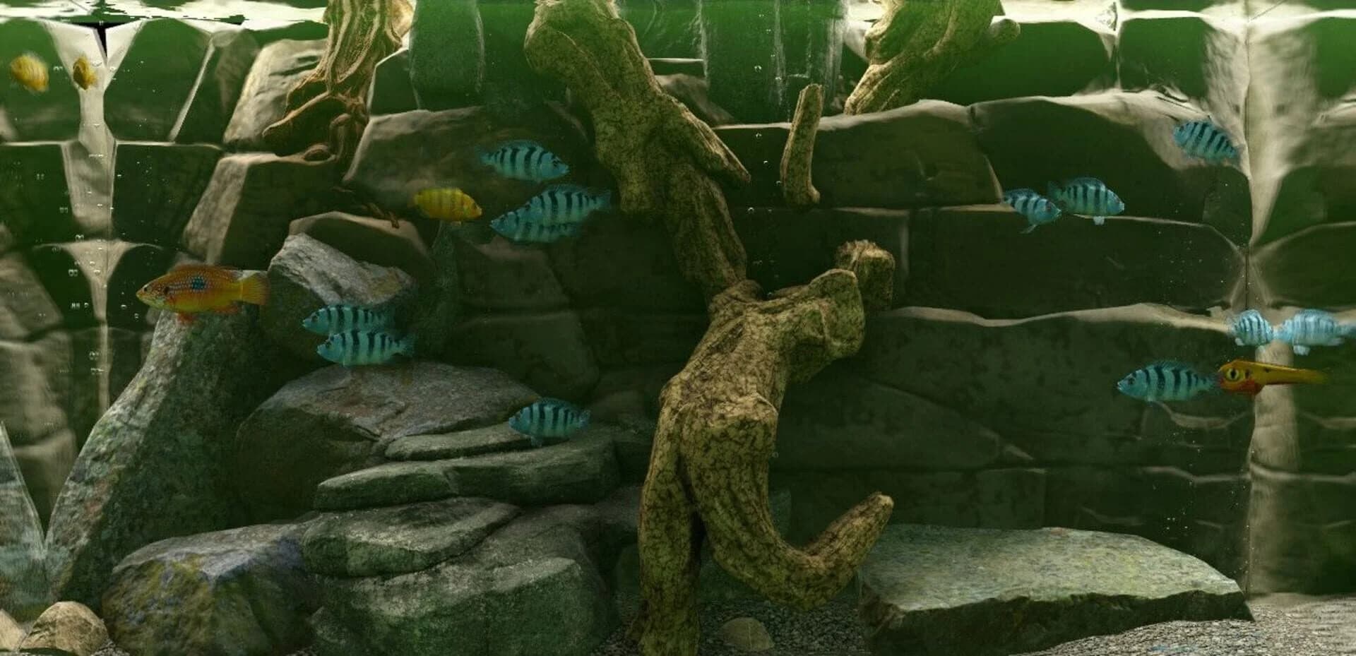 Biotope: Aquarium Simulator screenshot 4