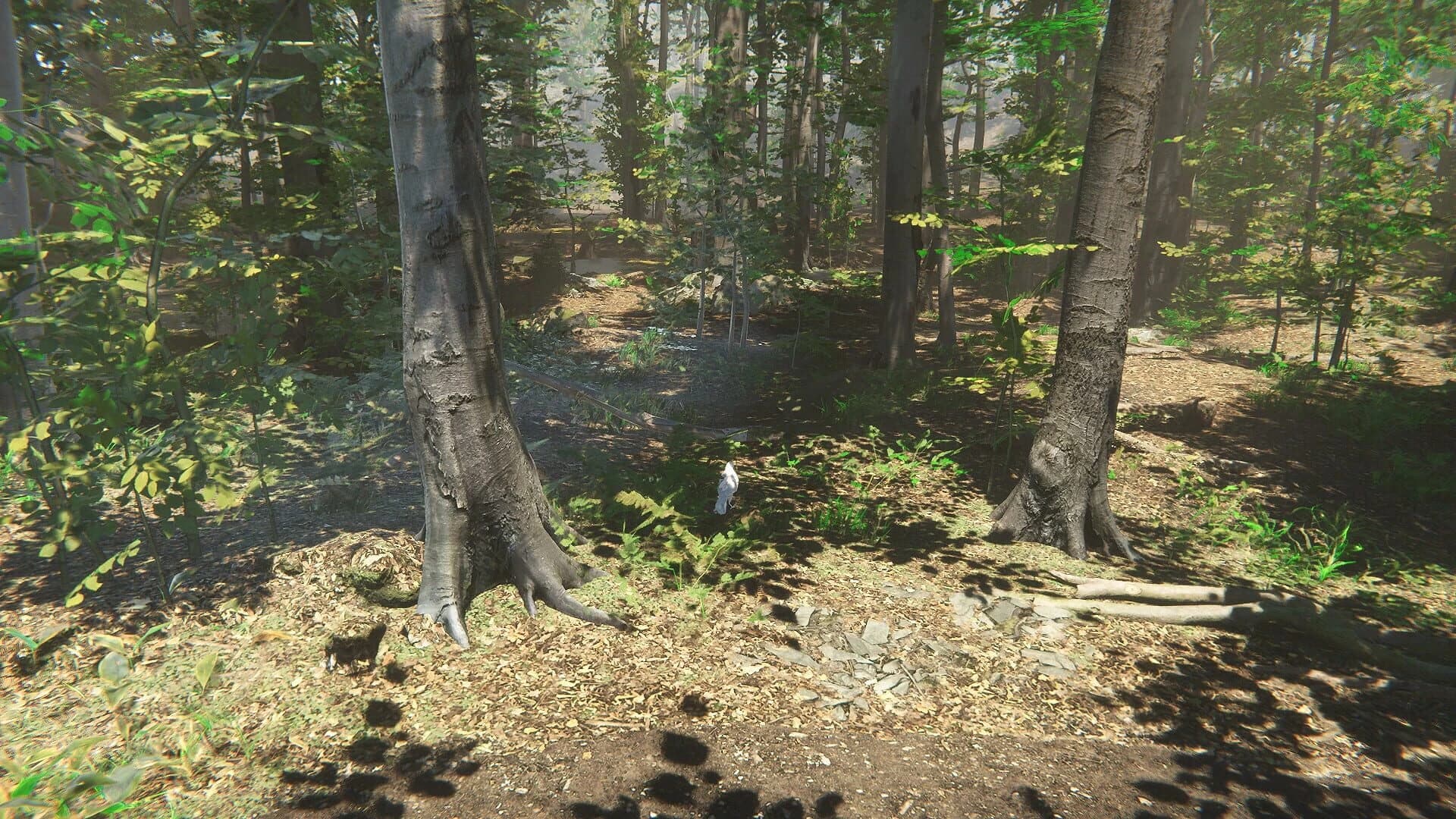 Bird screenshot 4