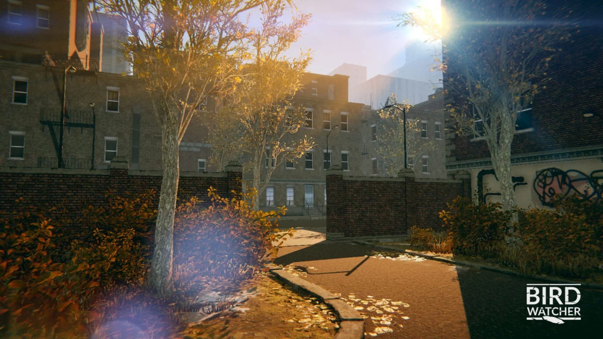 Bird Watcher screenshot 4